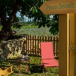 Fleur De Vigne * Fronsac (Gironde)