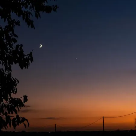 Fleur De Vigne Fronsac (Gironde)