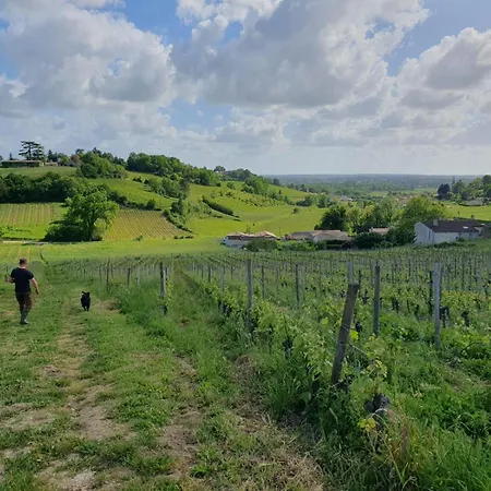 Fleur De Vigne Venkovský dům Fronsac (Gironde)