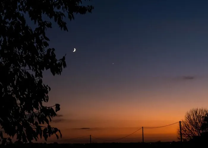 Fleur De Vigne Fronsac (Gironde)