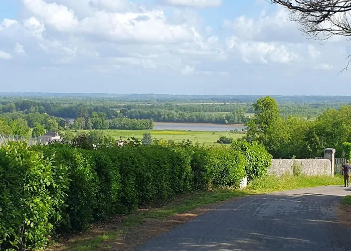Casa rural Fleur De Vigne *