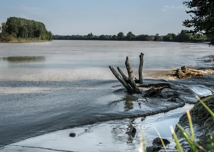 Casa rural Fleur De Vigne *
