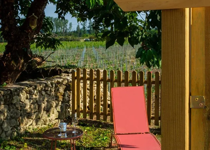 Fleur De Vigne * Fronsac (Gironde)