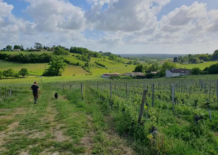 Fleur De Vigne Casa rural Fronsac (Gironde)